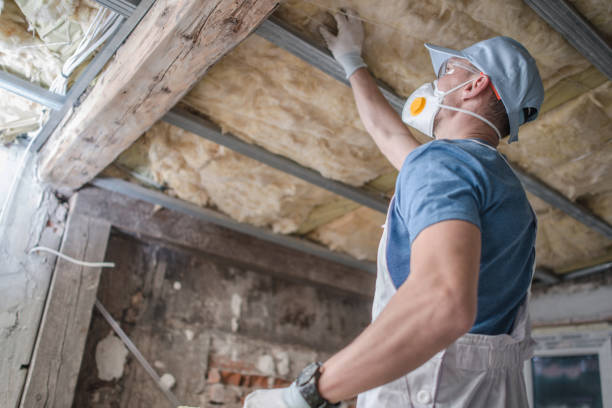 Best Eco-Friendly Insulation in Longmont, CO
