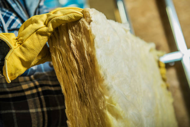 Best Geographic-Specific Insulation Services in Longmont, CO