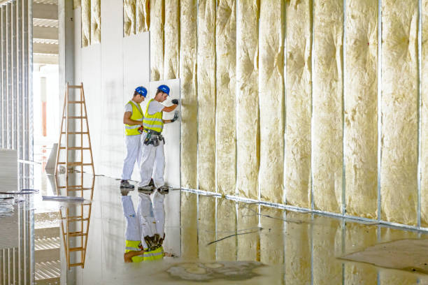 Best Insulation Maintenance and Repair in Longmont, CO